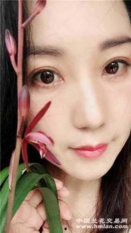 吃瓜qun,网络社交新现象背后的故事